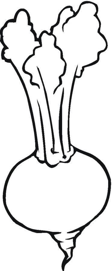 Coloring pages: Turnip