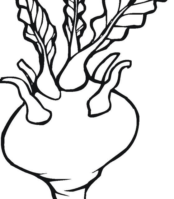 Coloring pages: Turnip