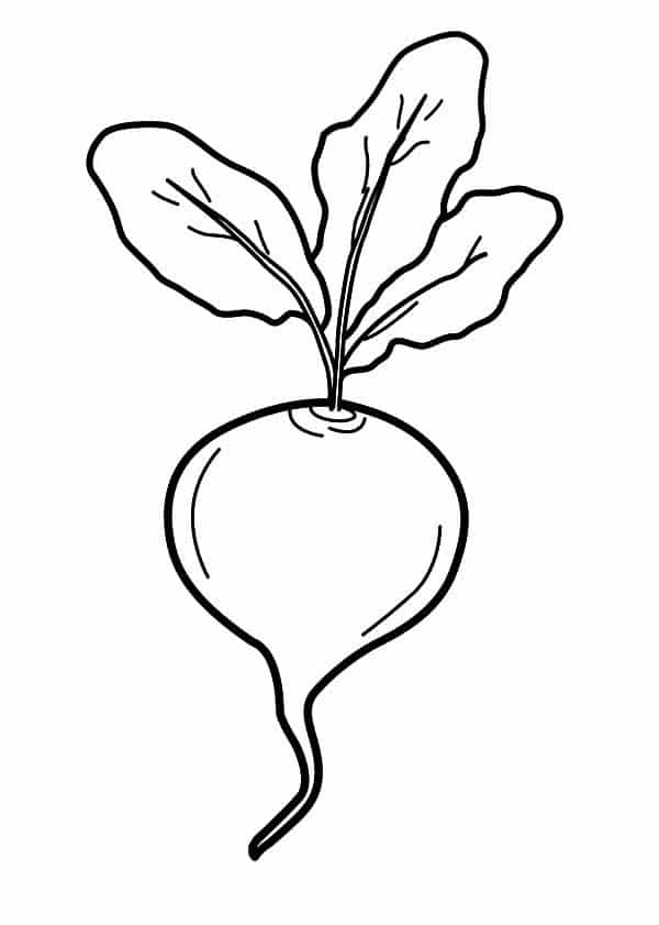 Coloring pages: Beets 10