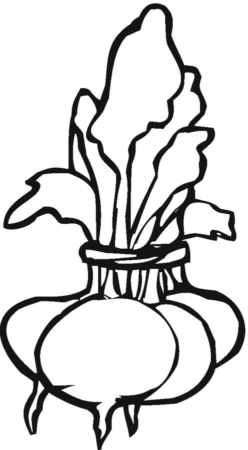 Coloring pages: Beets 2