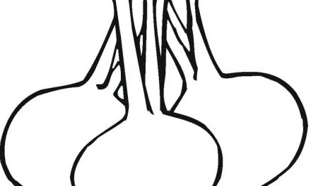 Coloring pages: Beets