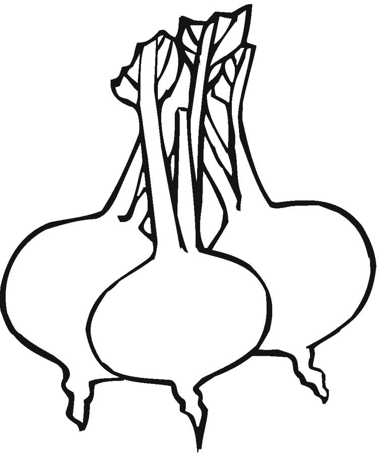 Coloring pages: Beets 6