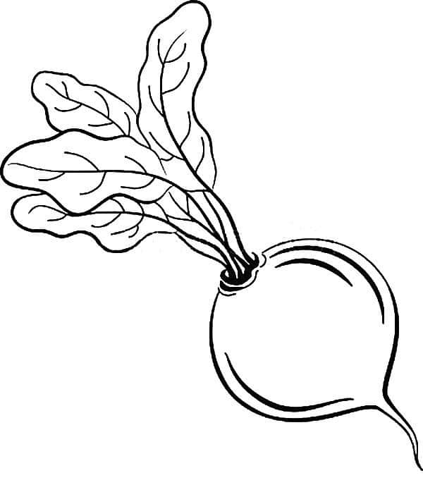 Coloring pages: Beets 9