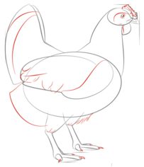How to draw: Chicken