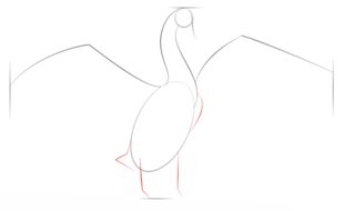 How to draw: Swan