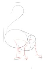 Zeichnen Tutorial: Lemur