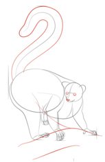 Zeichnen Tutorial: Lemur