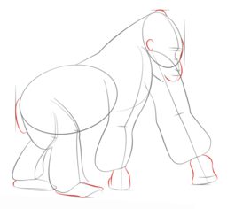 How to draw: Gorilla