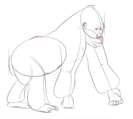 Tutorial de dibujo: Gorilla