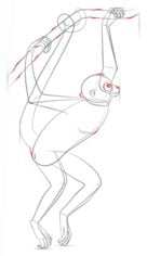 Jak narysować: Małpa