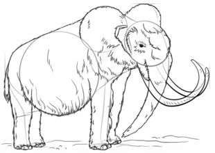 Zeichnen Tutorial: Mammut