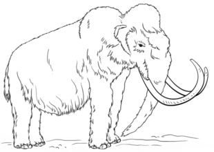 How to draw: Mammoth