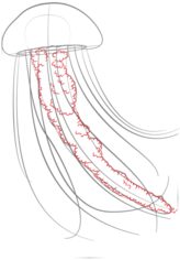 Come disegnare: Medusa