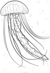 Come disegnare: Medusa 74