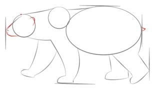 Come disegnare: Orso polare 64
