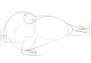 Zeichnen Tutorial: Walross