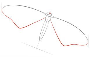 Come disegnare: Farfalle 45