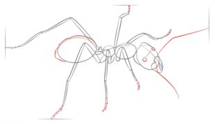 Jak narysować: Mrówka