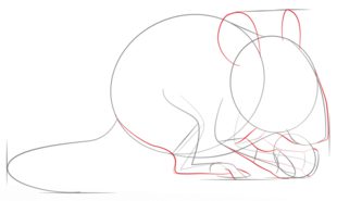 How to draw: Mouse