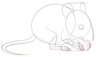 Jak narysować: Mysz