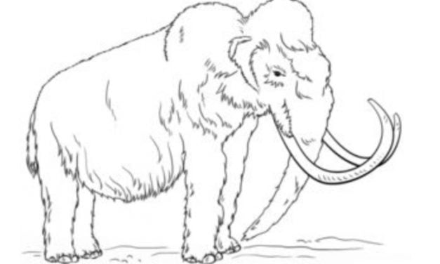 Tutorial de dibujo: Mamut