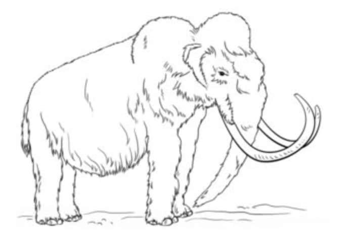 Tutorial de dibujo: Mamut