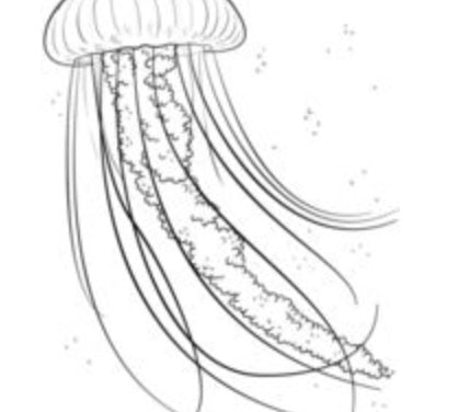 Tutorial de dibujo: Medusas