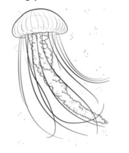 How to draw: Jellyfish