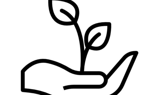 Online coloring page: Young plant